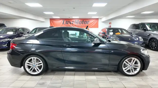BMW 2 Series view 7