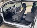 Ford B-Max B-Max 1.5 tdci Titanium 75 Cv Weiß - thumbnail 7