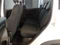 Fiat Panda Pandina 1.0 GSE Mild Hybrid DAB Spurhalteass. Verk Weiß - thumbnail 9