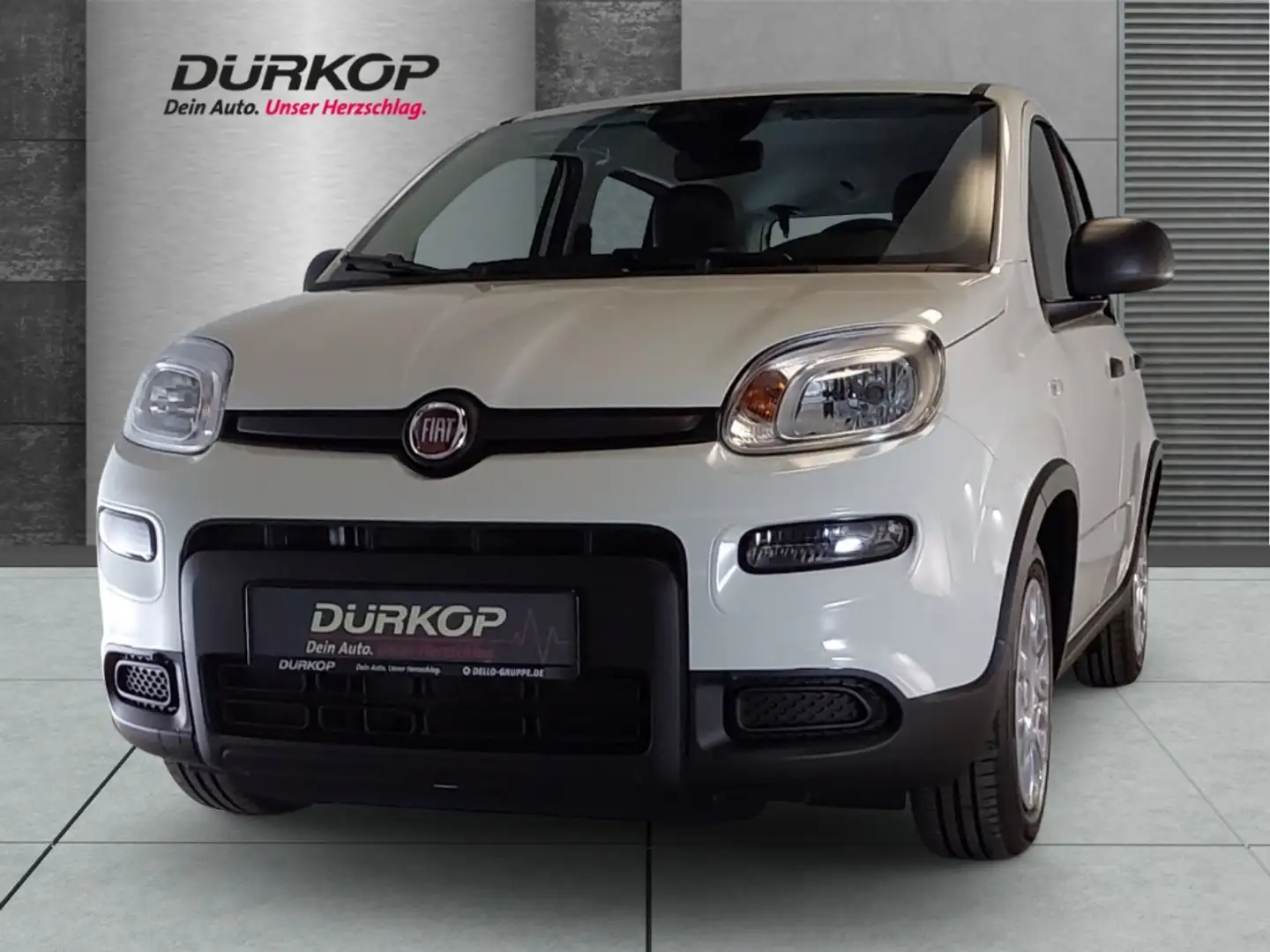 Fiat Panda Pandina 1.0 GSE Mild Hybrid DAB Spurhalteass. Verk Weiß - 1