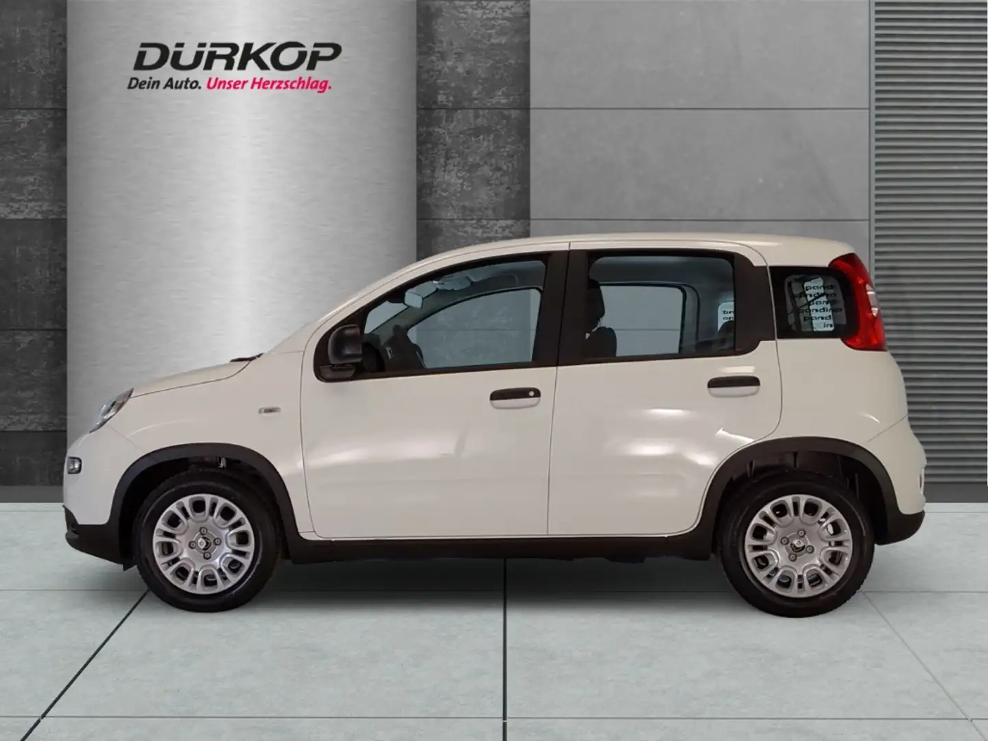 Fiat Panda Pandina 1.0 GSE Mild Hybrid DAB Spurhalteass. Verk Weiß - 2