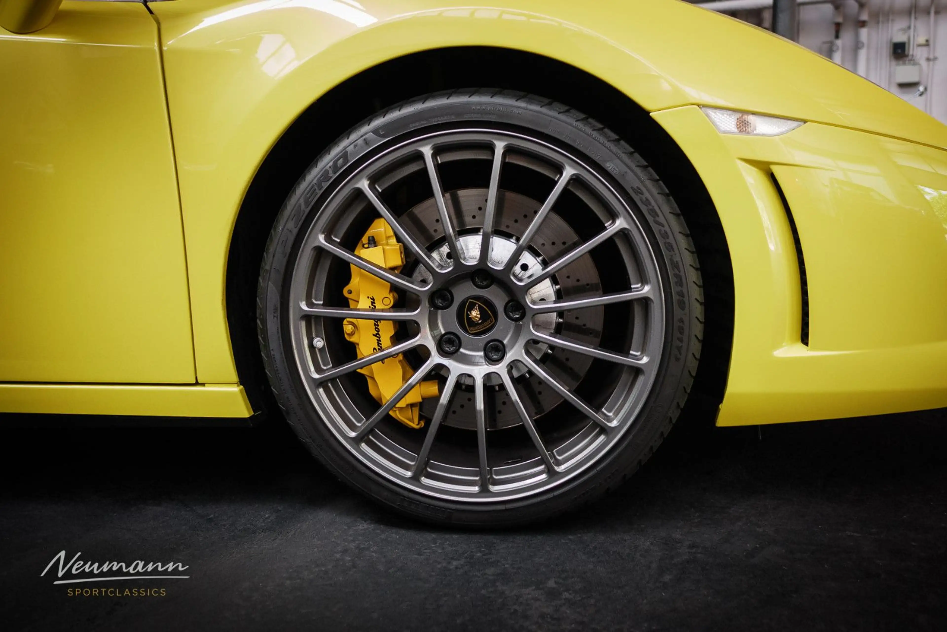 Lamborghini Gallardo LP 560-2 50th Anniversary — photo 4