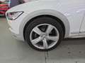 Volvo V90 Cross Country V90 2016 Cross Country 2.0 d4 Volvo Ocean Race Awd 190cv geartron Weiß - thumbnail 9
