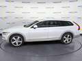 Volvo V90 Cross Country V90 2016 Cross Country 2.0 d4 Volvo Ocean Race Awd 190cv geartron Weiß - thumbnail 2