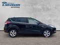 Ford Kuga Sync Edition*Winter-Paket* Noir - thumbnail 1