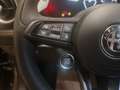 Alfa Romeo Tonale Tonale 1.6 diesel 130 CV TCT6 Veloce Grigio - thumbnail 14