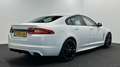 Jaguar XF 2.0 R-Sport L.E. NAVI CRUISE LM ECC SCHUIF/KANTELD Weiß - thumbnail 2