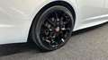 Jaguar XF 2.0 R-Sport L.E. NAVI CRUISE LM ECC SCHUIF/KANTELD Weiß - thumbnail 13