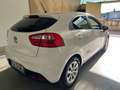 Kia Rio 5p 1.2 EX - thumbnail 4