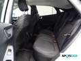 Ford Puma 1.0 EcoBoost 125cv  MHEV Auto TITANIUM Blanco - thumbnail 10