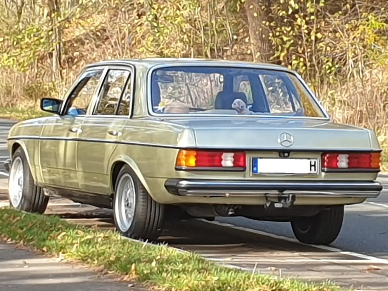 Mercedes-Benz 230, foto 2