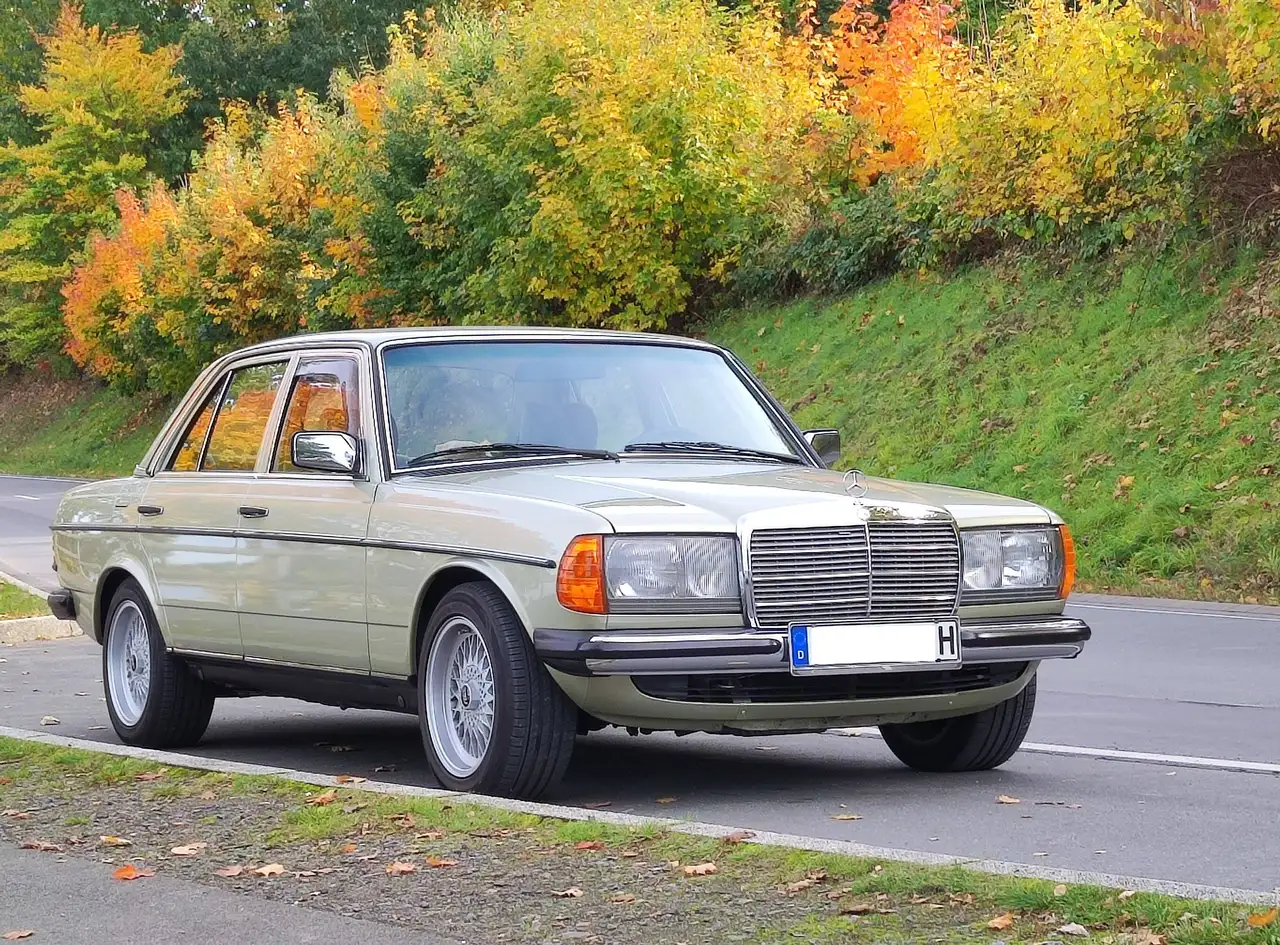 Mercedes-Benz 230, foto 1