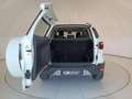 Ford EcoSport 1.5 tdci 90cv Bianco - thumbnail 10