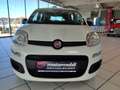 Fiat Panda 4x2 FireFly Hybrid 70 Weiß - thumbnail 9