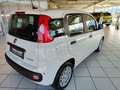 Fiat Panda 4x2 FireFly Hybrid 70 Weiß - thumbnail 6