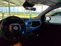 Fiat Panda 4x2 FireFly Hybrid 70 Weiß - thumbnail 12