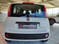 Fiat Panda 4x2 FireFly Hybrid 70 Weiß - thumbnail 4