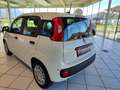 Fiat Panda 4x2 FireFly Hybrid 70 Weiß - thumbnail 3