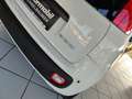 Fiat Panda 4x2 FireFly Hybrid 70 Weiß - thumbnail 5
