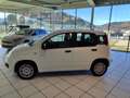 Fiat Panda 4x2 FireFly Hybrid 70 Weiß - thumbnail 2