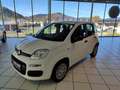 Fiat Panda 4x2 FireFly Hybrid 70 Weiß - thumbnail 1