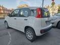 Fiat Panda Panda  1.3 mjt 16v Easy  euro 6 Blanc - thumbnail 7