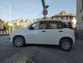 Fiat Panda Panda  1.3 mjt 16v Easy  euro 6 Blanc - thumbnail 8