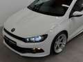 Volkswagen Scirocco Scirocco 1,4 Sky Edition TSI BMT Sky Edition Weiß - thumbnail 8