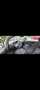 Opel Corsa 3p 1.2 Club 85cv FL - thumbnail 7