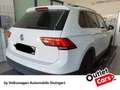 Volkswagen Tiguan Comfortline 2.0 TSI DSG Kamera AHK ACC Weiß - thumbnail 2