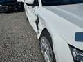 Skoda Octavia Combi 2.0 TDI Selection LED NAVI AHK Weiß - thumbnail 3
