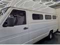 Iveco Camper,  zelfbouw White - thumbnail 2