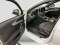 Audi A4 35 TFSI S line AHK Virtual Busin LED Ca Weiß - thumbnail 14