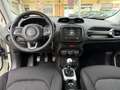 Jeep Renegade 1.6 mjt Sport fwd 95cv Bianco - thumbnail 5