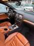Audi Q7 4.2 TDI quattro*SHZ*AHK*8-FACH*AUTOMATIK* Schwarz - thumbnail 13