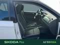 Skoda Fabia 1.0 mpi twin color nero 60cv my19 Bianco - thumbnail 5