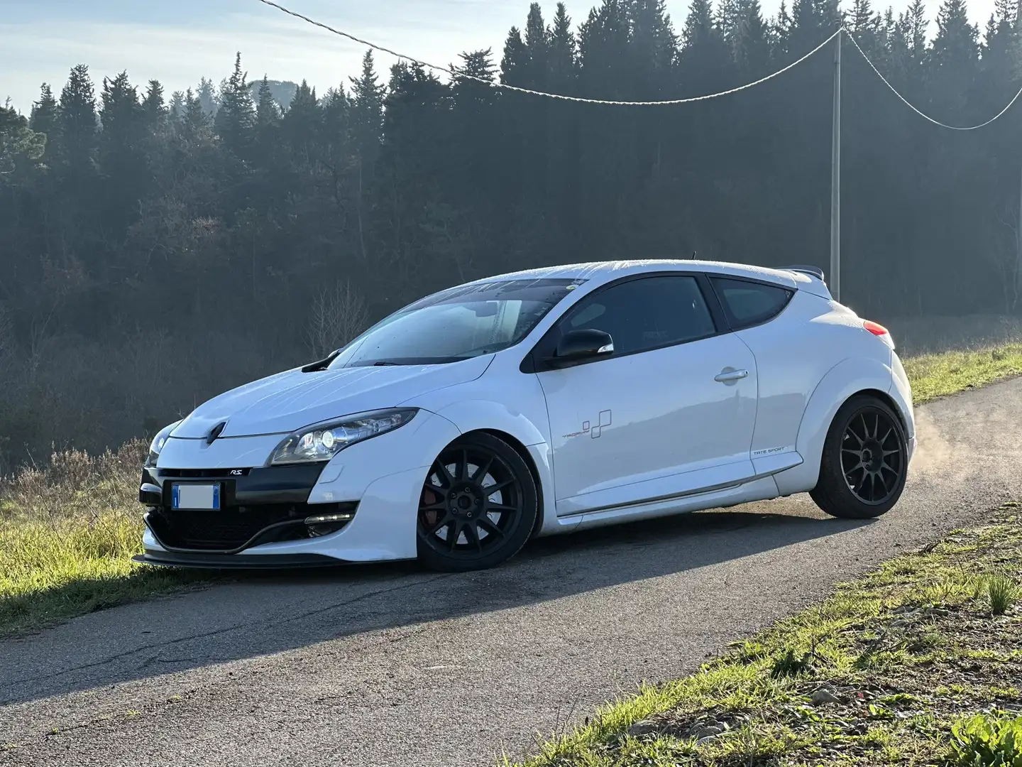 Renault Megane Coupe 2.0 16v T RS Trophy 265cv - 1
