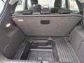 Ford Puma Titanium | Allwetter | Fahrerass. Paket 2 Blanco - thumbnail 7