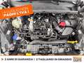 Ford Puma 1.0 ecoboost h titanium s&s 125cv Grigio - thumbnail 12
