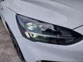 Ford Focus 1.0 EcoBoost ST Line PANO DAK ADAPT CRUISE HUD CAM Blanc - thumbnail 11