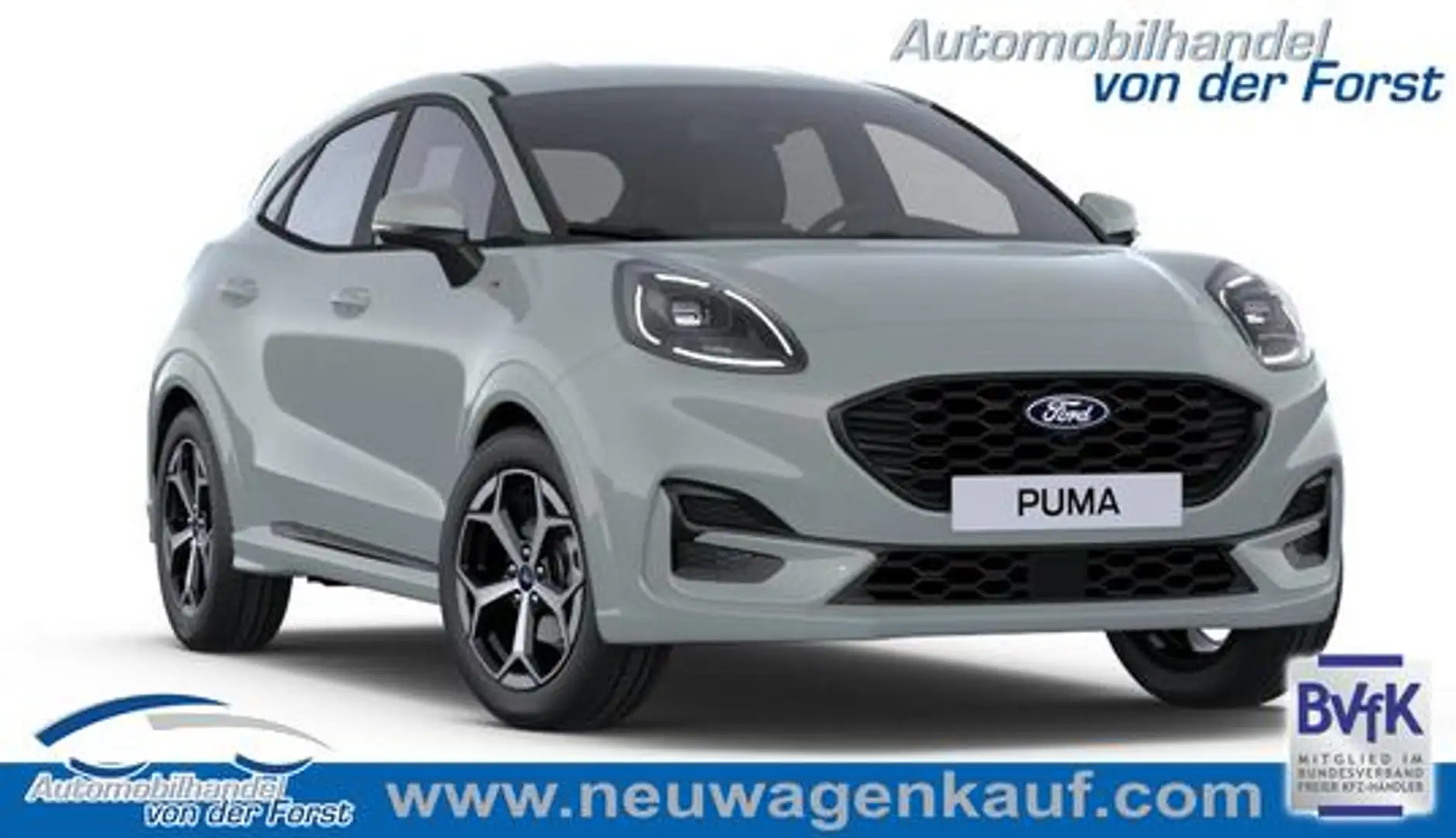 Ford Puma "ST-Line" 1.0 EcoBoost 125PS AUTOMATIK, Cactus-... Gris - 1