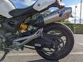 Ducati Monster 696 Weiß - thumbnail 11