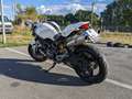 Ducati Monster 696 Blanc - thumbnail 8