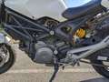 Ducati Monster 696 Wit - thumbnail 10