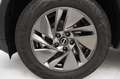 Nissan Qashqai 1.3 mhev Acenta 2wd 140cv - AUTOCARRO - IVA Grigio - thumbnail 6