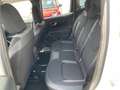 Jeep Renegade Plug-In Hybrid My22 Limited 1.3 Turbo T4 Phev 4xe Weiß - thumbnail 18