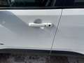 Jeep Renegade Plug-In Hybrid My22 Limited 1.3 Turbo T4 Phev 4xe Bianco - thumbnail 11