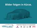 Renault Scenic TCe EU6d IV 1.3 TCE 160 GRAND EXECUTIVE HUD Panora Rood - thumbnail 1