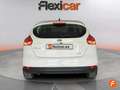 Ford Focus 1.0 Ecoboost Auto-St.-St. 125cv Trend+ Giallo - thumbnail 5