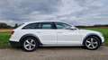 Audi A6 allroad A6 Allroad 3,0 TDI quattro DPF S-tronic Luftfahrwerk AHK Weiß - thumbnail 6